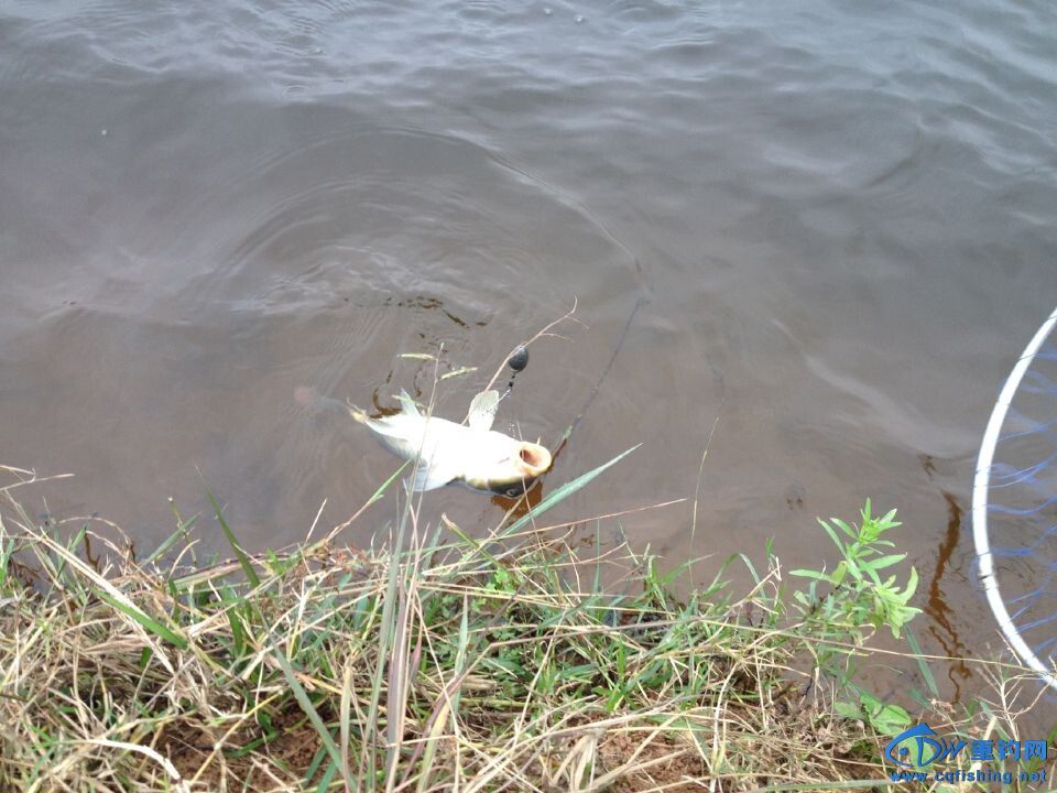 QQͼƬ20141109223338.jpg