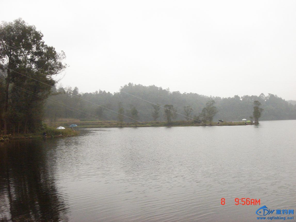 DSC03729.JPG