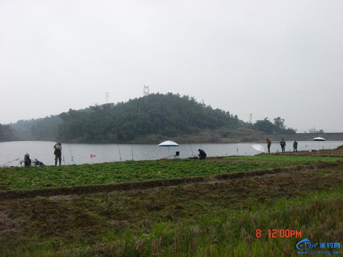 DSC03766.JPG