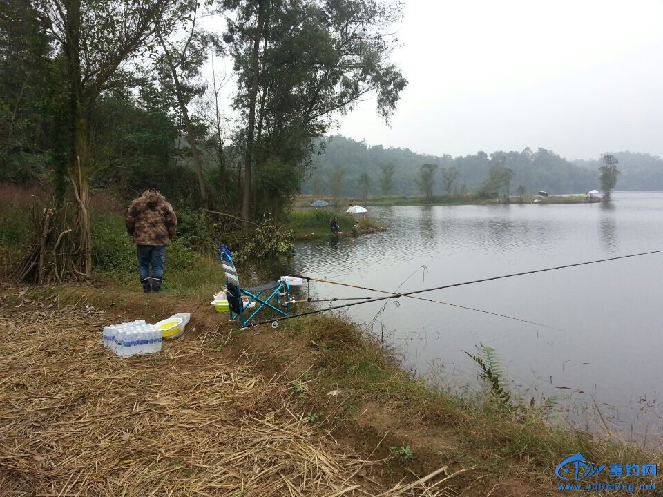 QQͼƬ20141109222623.jpg