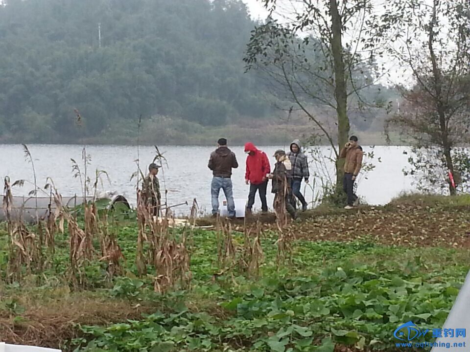 QQͼƬ20141109222742.jpg
