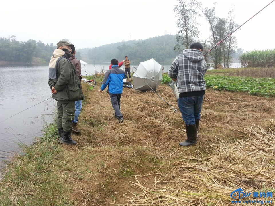 QQͼƬ20141109222811.jpg