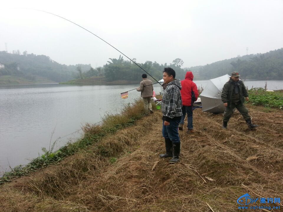 QQͼƬ20141109223051.jpg