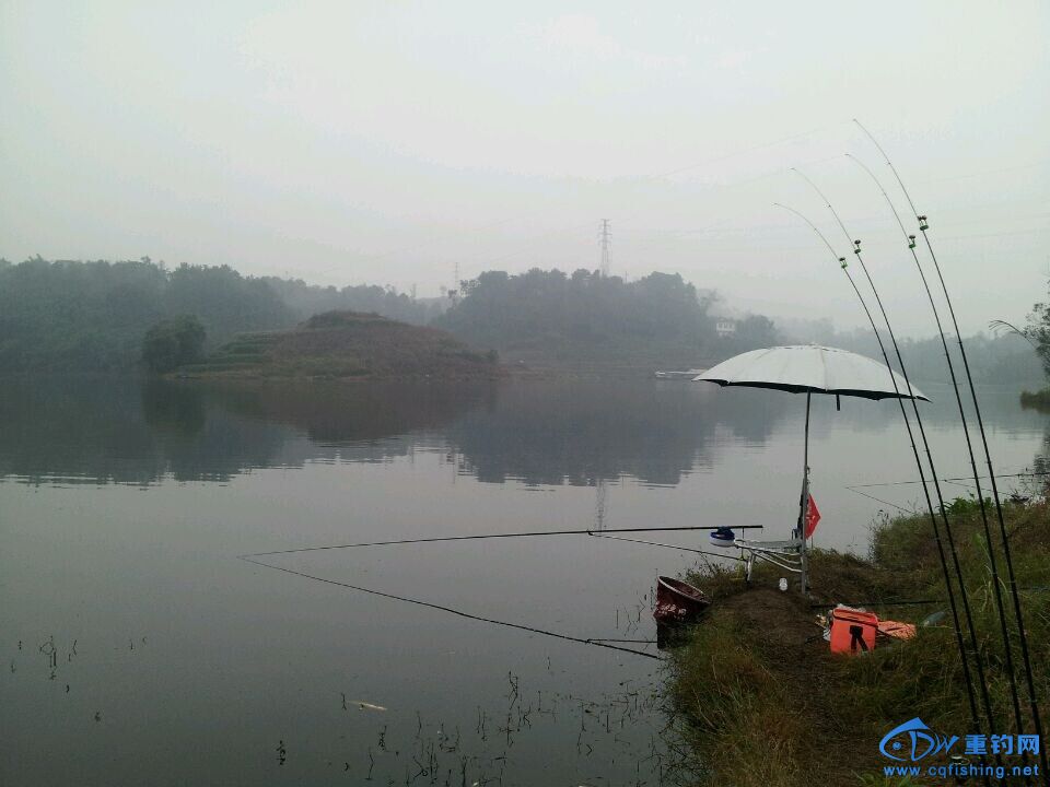 QQͼƬ20141109223447.jpg