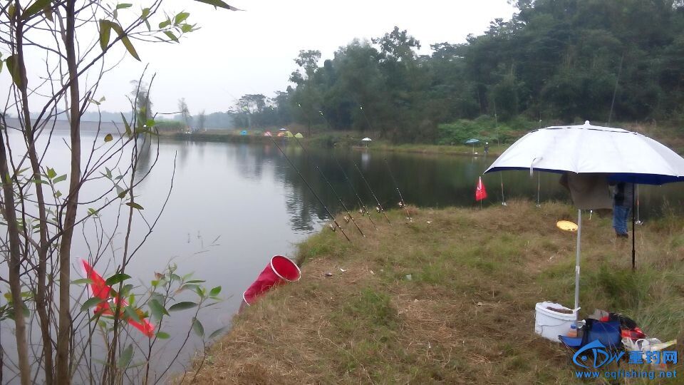 QQͼƬ20141109223610.jpg