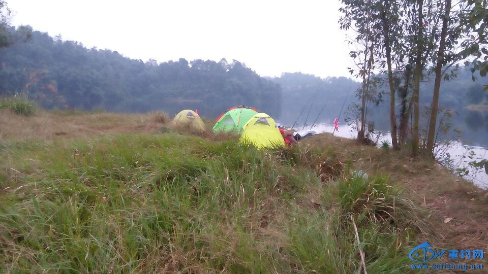 QQͼƬ20141109223617.jpg