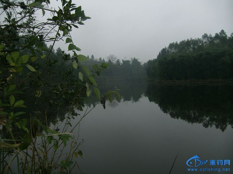GEDC0016_副本.jpg