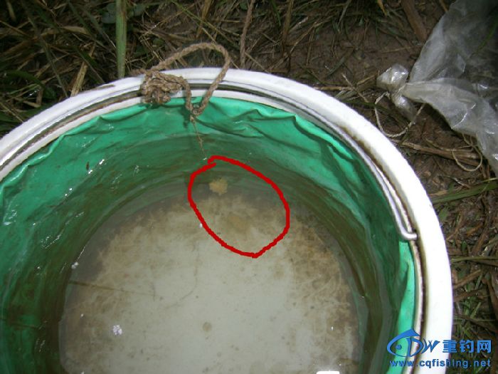 GEDC0024_副本.jpg