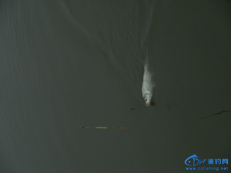 GEDC0036_副本.jpg