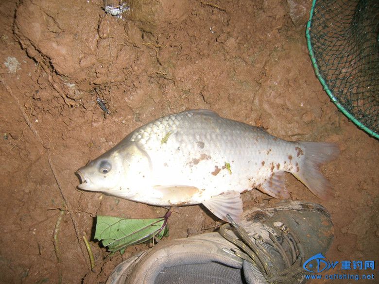 GEDC0051_.jpg