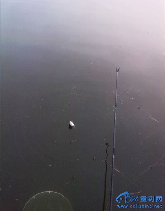 IMG_20141025_074146.jpg