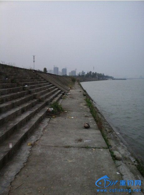 QQ图片20141108091808.jpg