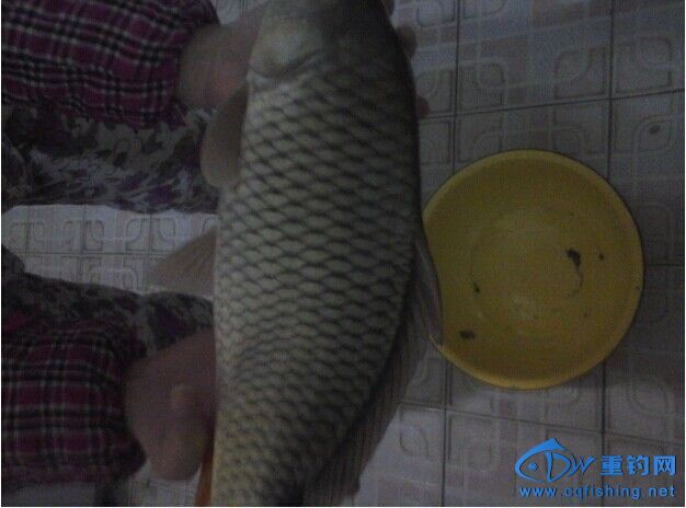 QQ图片20141114101159.jpg