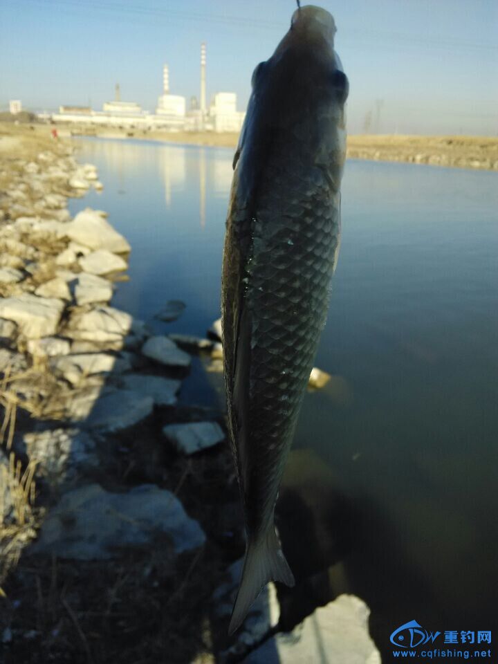 QQ图片20141115180934.jpg