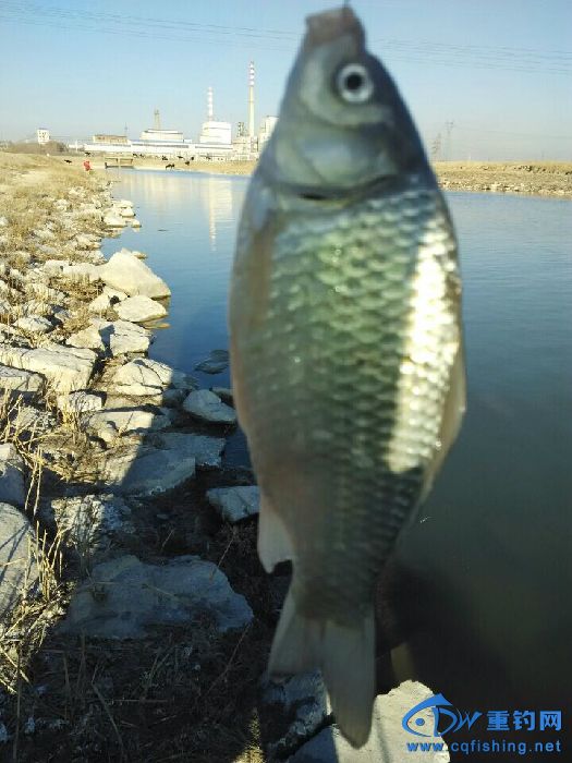 QQ图片20141115180921.jpg