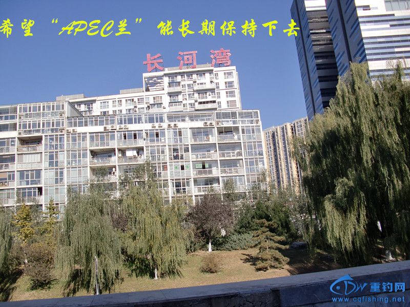 CIMG0347_.jpg