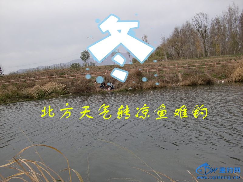 CIMG0406_.jpg