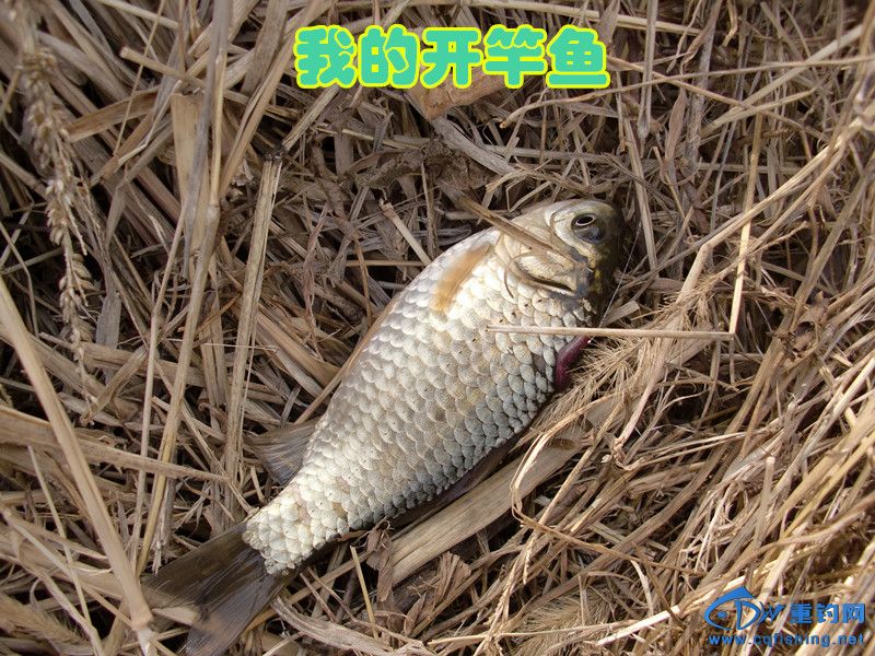 CIMG0408_.jpg