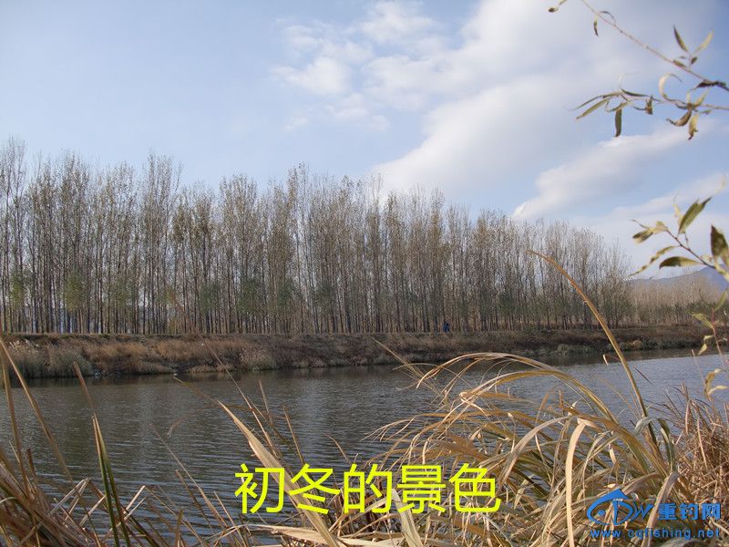 CIMG0454_.jpg