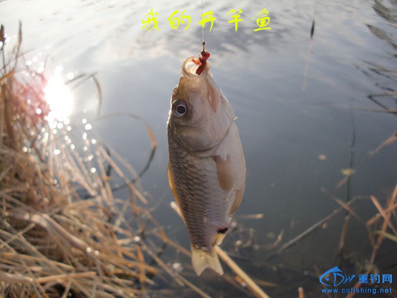 CIMG0457_.jpg
