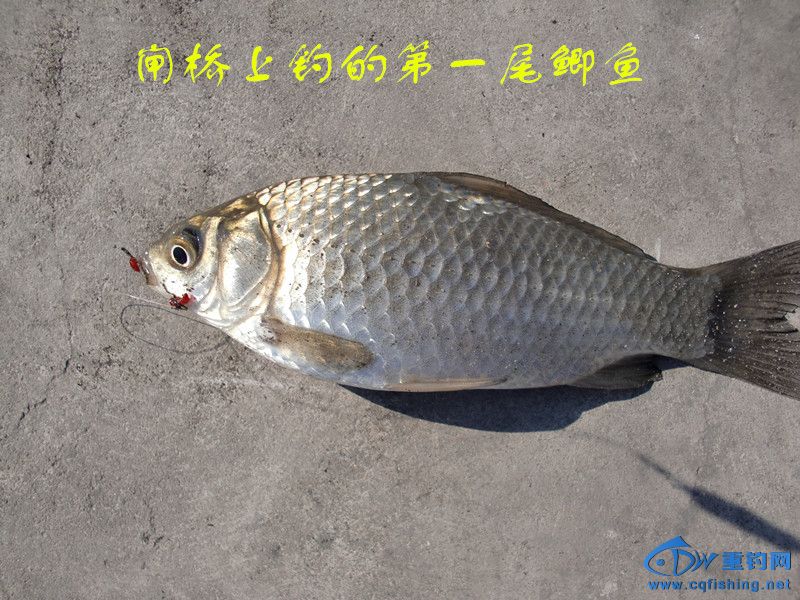 CIMG0471_.jpg