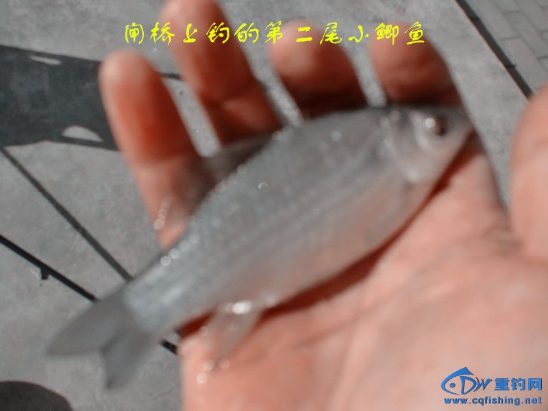 CIMG0472_.jpg
