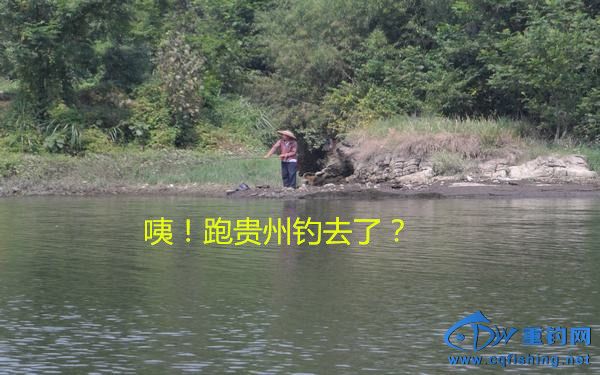 171.JPG