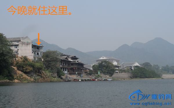 174.JPG
