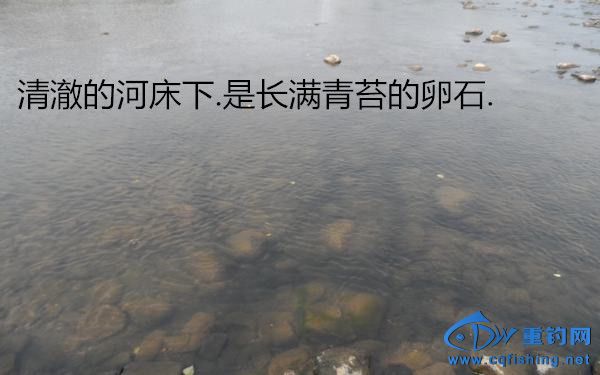 190.JPG