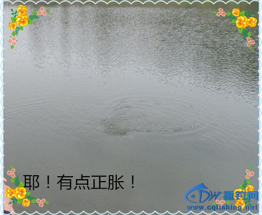 241.JPG