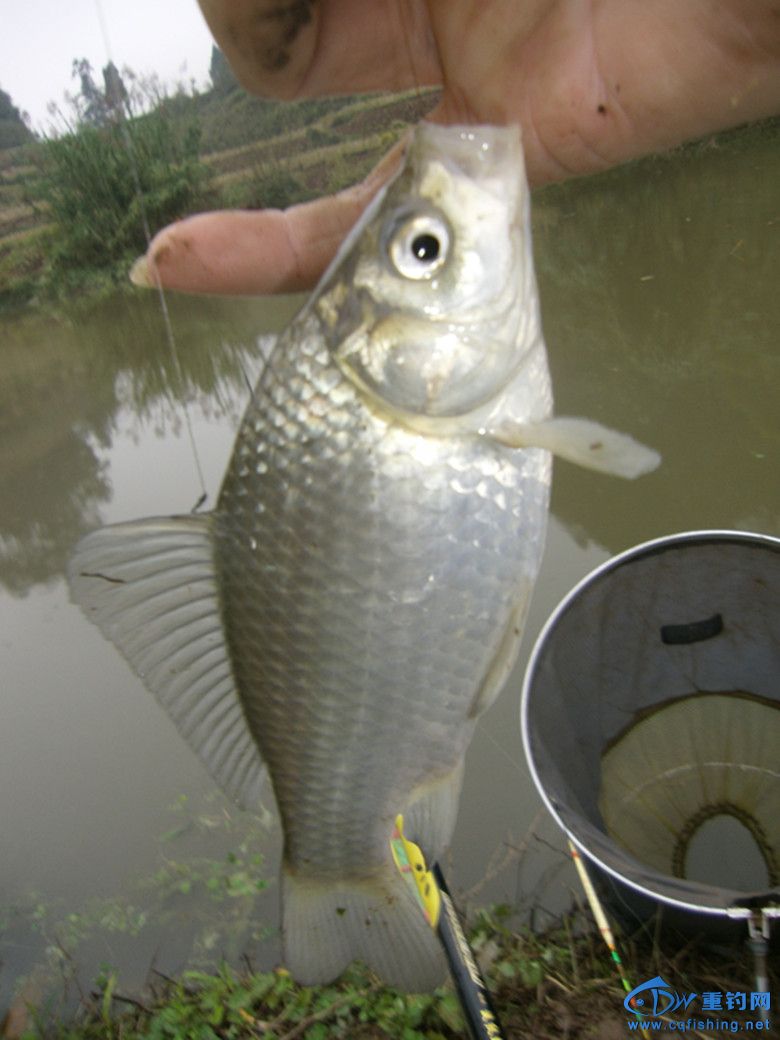 GEDC0066_.jpg