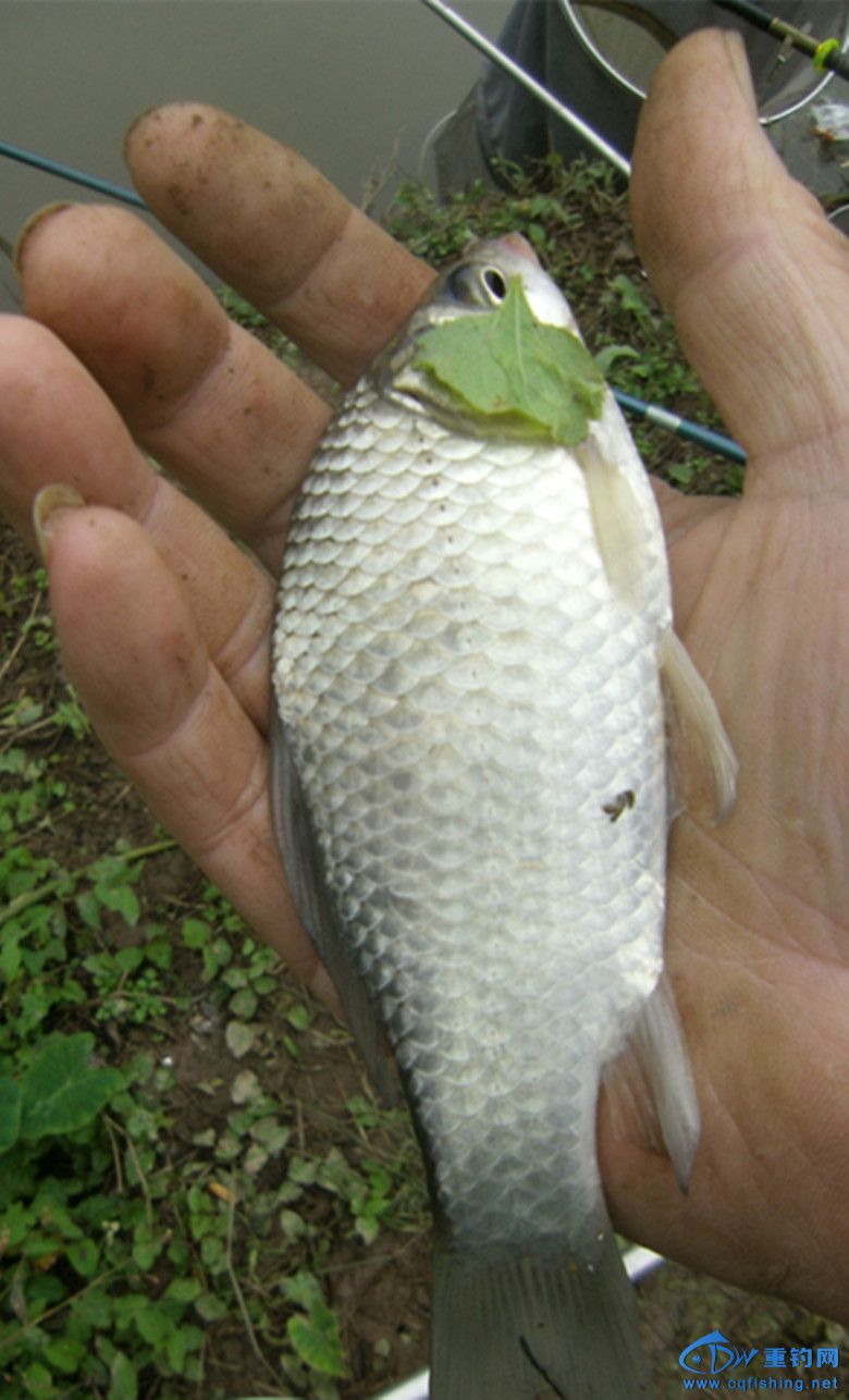 GEDC0067_.jpg