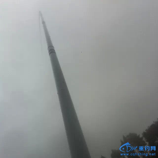 yu15.jpg