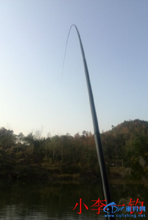 IMG_20141202_160057.jpg