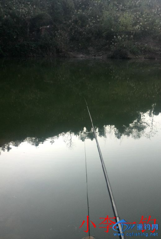 IMG_20141202_160535.jpg