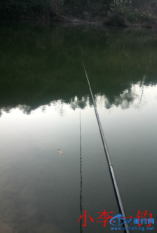 IMG_20141202_160808.jpg