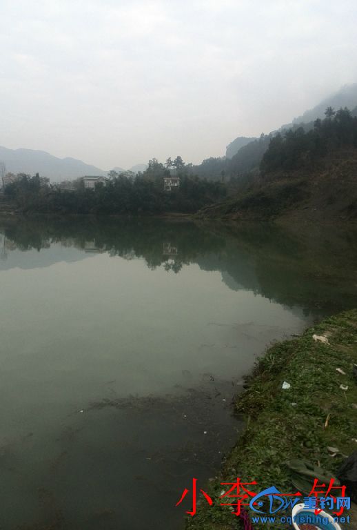 IMG_20141205_094541.jpg