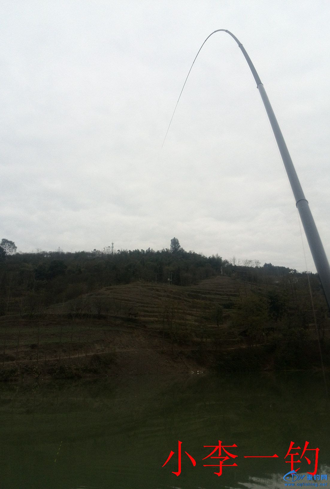 IMG_20141205_140433.jpg