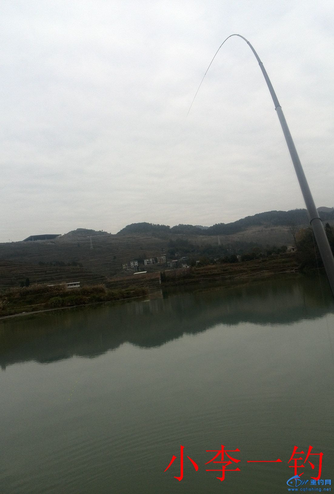 IMG_20141205_145934.jpg