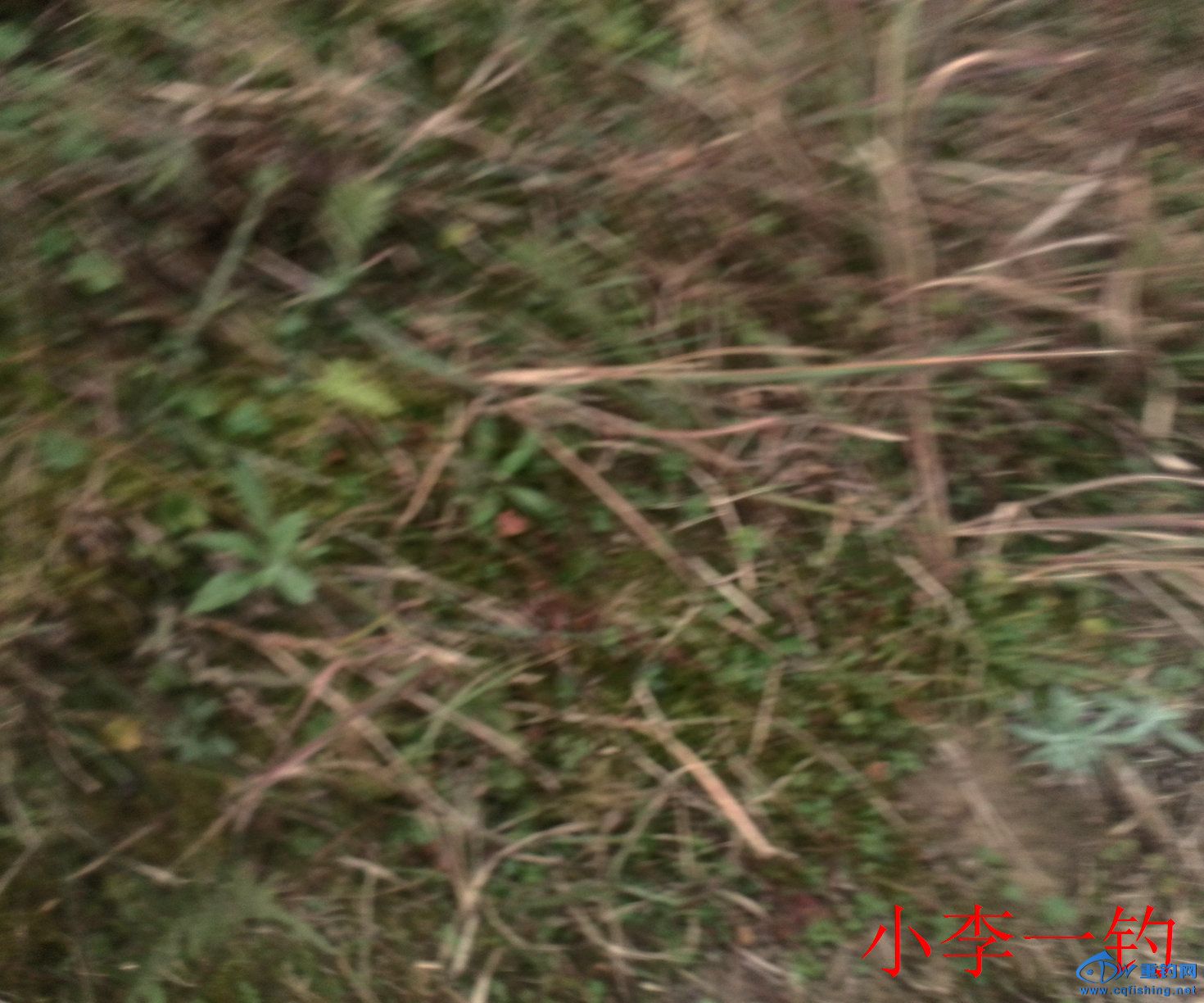 IMG_20141205_152016.jpg
