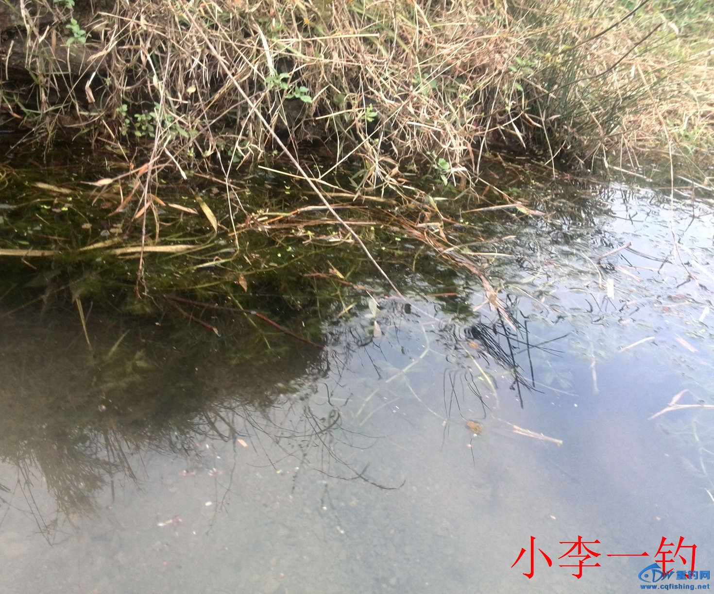 IMG_20141205_165746.jpg