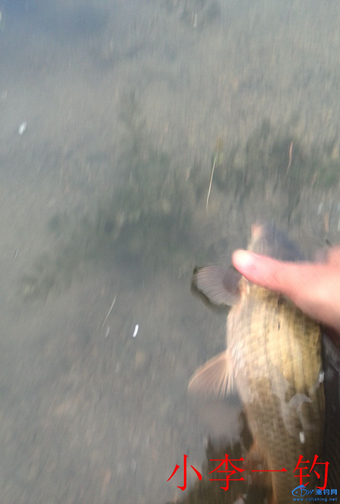 IMG_20141205_165910.jpg
