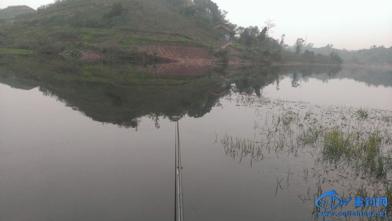 IMAG0813.jpg