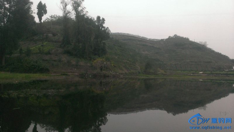 IMAG0814.jpg