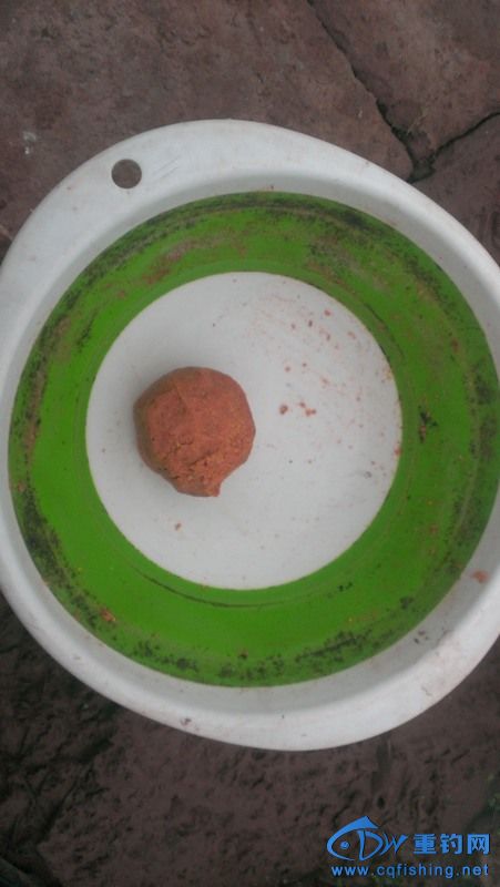 IMAG0816.jpg