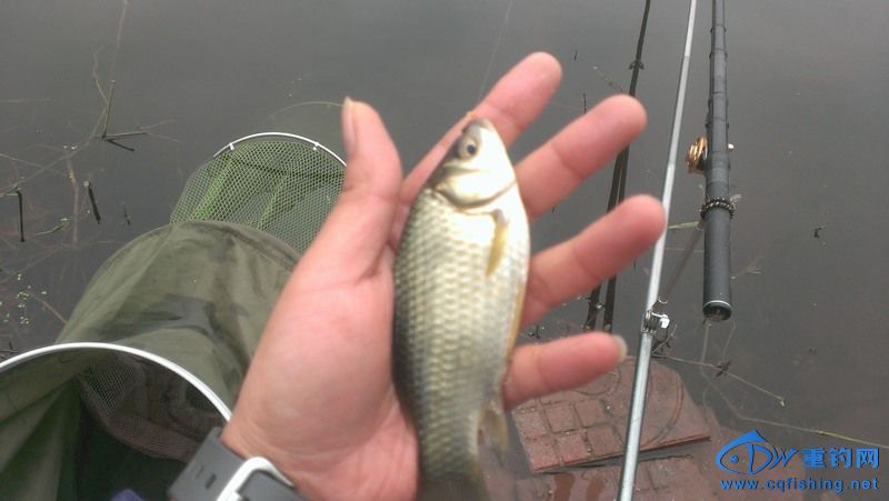 IMAG0821.jpg