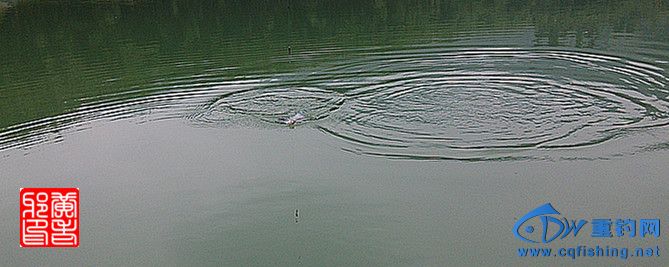 IMG_20141213_113830.jpg