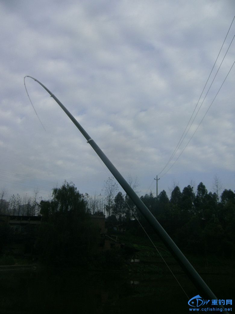 GEDC0008_.jpg
