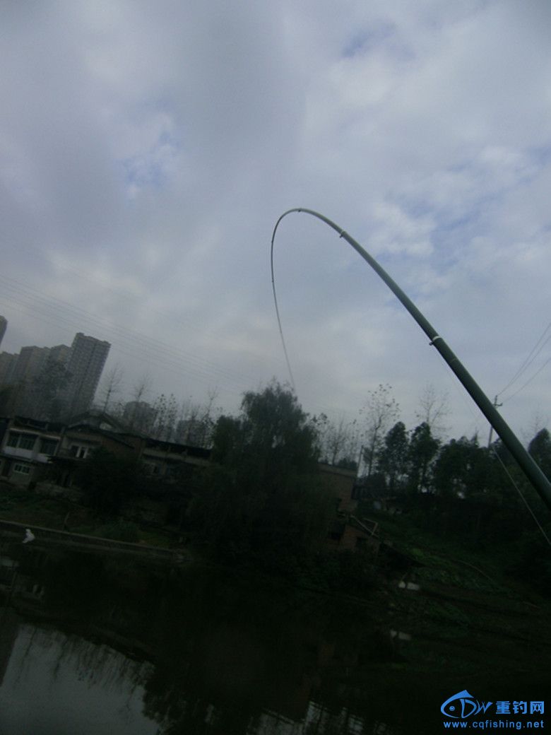 GEDC0014_.jpg