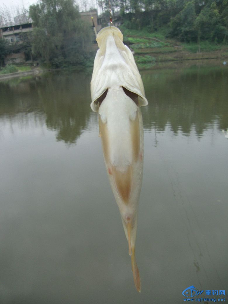 GEDC0017_.jpg